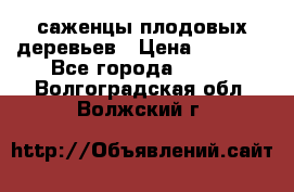саженцы плодовых деревьев › Цена ­ 6 080 - Все города  »    . Волгоградская обл.,Волжский г.